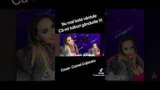 Mihaela Sultan  Nu mai bate vantule  cover Cornel Cojocaru [upl. by Feledy]