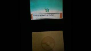 Pokemon Platinum Shiny Egg and Fast Egg Hatch Action Repla [upl. by Keily]