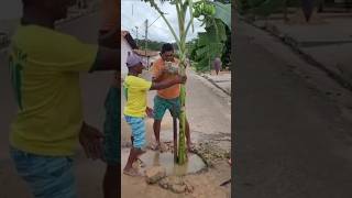 Plantando bananeira no meio da rua [upl. by Marlane]