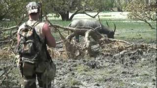 SWAMP HOGS  Bow Hunting the Top End Australia [upl. by Bocoj]