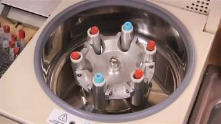 Centrifuging separating blood [upl. by Kumler]