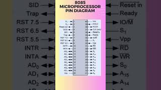 8085 microprocessor pin diagram [upl. by Anirbac]