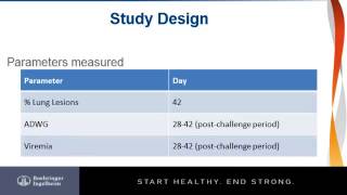 Dr Reid Philips  Efficacy of Ingelvac PRRS® MLV against a heterologous PRRSV 174 RFLP challenge [upl. by Uni]