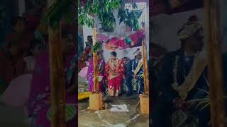 cg tiktok video 2024 cg sagai video cg Instagram video cg funny video cgviral cgfacg cgshorts [upl. by Annahaj]