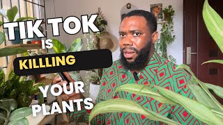 Terrible Advice that is actually Killing your Plants [upl. by Auric]