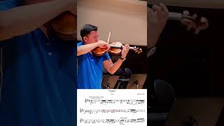 Tzigane  Ravel classicalmusic violinist violin violinmusic violino [upl. by Vogel779]