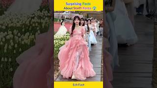 ⭐Surprising Facts About South Korea 🇰🇷 shorts southkorea  bts ytshort  facts echfact8109 [upl. by Chandos]