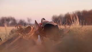 Saskatchewan Waterfowl Hunting [upl. by Euphemie]