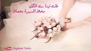 طلت فينا ست الكل  أغاني أفراح إسلامية  Wedding Song Talat Fina St Alkulu HD240P1 [upl. by Yrelav]