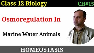 Marine Water Animals  Osmoregulation in Animals class 12 [upl. by Conni]