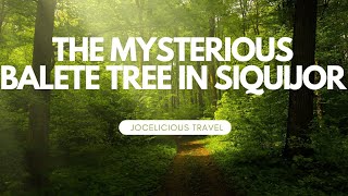 UNCOVERING THE MYSTERIOUS BALETE TREE IN SIQUIJOR JOCELICIOUS TRAVEL [upl. by Kire]