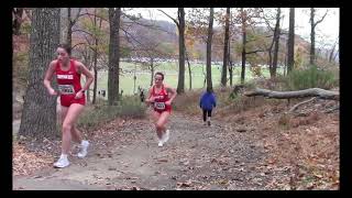 Rockland County 2024 XC Championship  Girls JV [upl. by Ethyl]