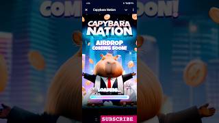 CAPYBARA NATION DAILY COMBO ✨✨shortfeeds capybara capybarasociety Capybaranation [upl. by Ameline]