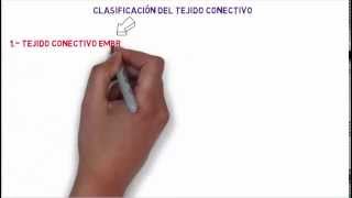 Clasificación del tejido conectivo HD [upl. by Willyt]