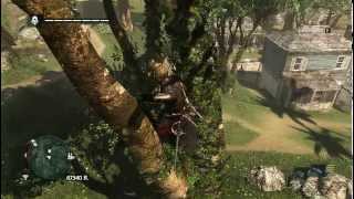 Assassins Creed 4  How to get Animus fragment in the tree  Kingston [upl. by Costin972]