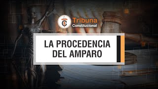 La Procedencia del Amparo  TC  468 [upl. by Atteugram787]