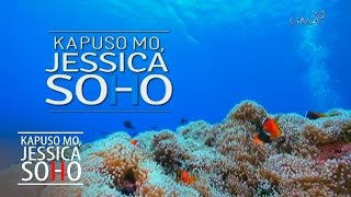 Kapuso Mo Jessica Soho Finding Nemo or Dory [upl. by Itnava128]