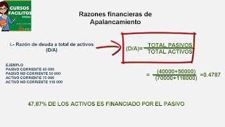 RATIOS DE APALANCAMIENTO [upl. by Annotahs7]