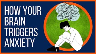 The Anxious Brain Amygdala Versus Cortex Based Anxiety [upl. by Enniotna]