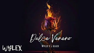 Wylex WR x J Black  Dulce Veneno Official Visualizer [upl. by Anabelle]