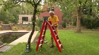 Appelboom snoeien  Fruitbomen zomersnoei  Tuinieren met Hendrik Jan de Tuinman [upl. by Annaihs171]