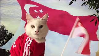 Majulah Singapura Cats celebrating Singapores national day  BROSSY MEOWINGTON [upl. by Yhtnomit]