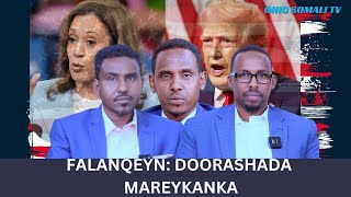 SOOMAALIDA IYO DOORASHADA MAREYKANKA FALANQEYN 2024 [upl. by Eylhsa]