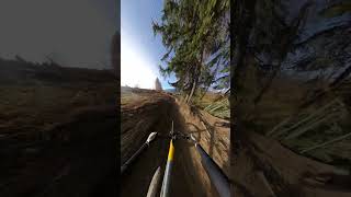 OMG Wait for the jump flowcam shorts short mtb pov trending trend youtubeshorts [upl. by Urbanus118]