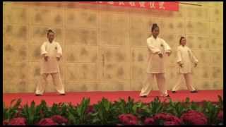 Wudang Wushu  Wudang Sanfeng Pai [upl. by Acirne]