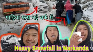 Heavy Snowfall In Narkanda 🌨️  गाड़ियां फस गई बर्फ में  Shimla Narkanda Weather Update [upl. by Nyllaf]