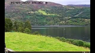 Screen Recording 2022 09 15 at 19 33 18 Giant Eel captured on VILN Shoreland Lodges Webcam Loch Ness [upl. by Laniger]