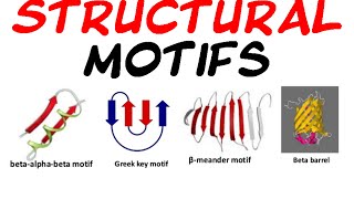 Structural motifs of protein [upl. by Kenelm503]