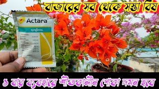 একতারা কীটনাশকের সঠিক ব্যবহার  Use of Aktara Pesticide  Syngenta  Best Insecticide in Market [upl. by Vance]