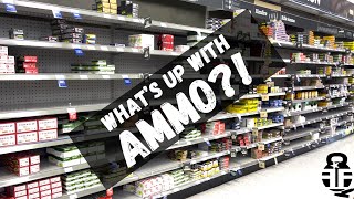 Ammo Prices in January 2024 [upl. by Kudva]