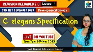 Revision Reloaded 20  C elegans Specification  CSIR Dec 2023  Lecture 4 [upl. by Sibyl918]