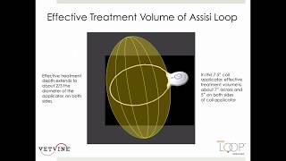 WEBINAR Applications of the Assisi Loop in Small Animals [upl. by Alad]