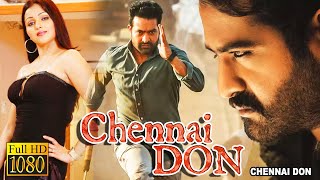 Chennai Don  New South Action Dub Bangla Film  NTR JuniorSonali JoshiBrahamandamVenu Madhav [upl. by Auqinehs]