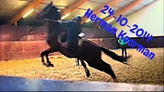 Praktisch met paarden HD Herman Koorman ZADELMAK MAKEN [upl. by Oriel]