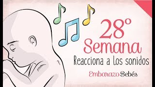 SEMANA 28 de Embarazo  7º Mes  Semana a semana [upl. by Dier]