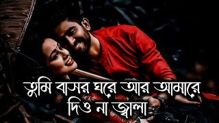 Tumi Basor Ghore Ar Amare Dio Na Jala  Slowed amp Reverb  বাসর ঘরের জ্বালা [upl. by Khichabia482]