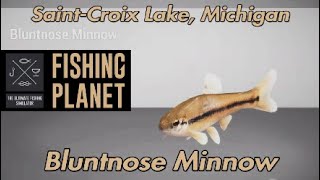 Fishing Planet Bluntnose Minnow SaintCroix Lake Michigan [upl. by Darahs366]