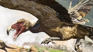 Argentavis  The Heaviest Flying Birds [upl. by Fayth]