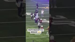 Colts mascot was NOT playing 😭 shorts passmetheball football comedy colts mascot [upl. by Nylanna]