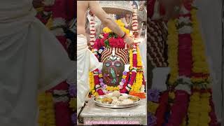 Jay Shri Mahakal shorts mahadev [upl. by Nelda]