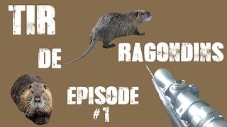 RAGONDIN  TIR DE RÉGULATION ÉPISODE 1  NUTRIA HUNTING [upl. by Lewls]