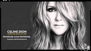 Celine Dion  Somebody Loves Somebody New Song 2013 [upl. by Nastassia]