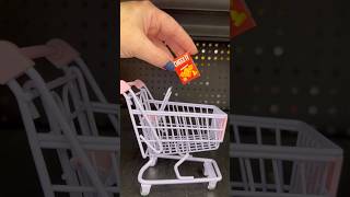 Mini Shopping For Snacks minis minishopping miniature [upl. by Aileduab]