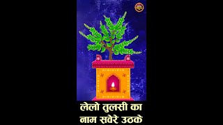 कार्तिक पूर्णिमा स्पेशल  लेलो तुलसी का नाम सवेरे उठके Kartik Purnima Bhajan  Tulsi Mata Bhajan [upl. by Einhorn]