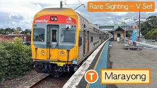 Transport for Sydney Vlog 822 Marayong Trainspotting  A Rare Sighting [upl. by Clova686]