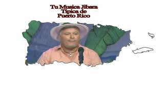 Asi Canta Puerto Rico  Varios Artistas Musica Jibara Tipica [upl. by Hazrit103]